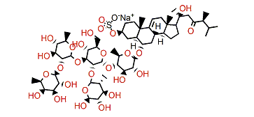 Leptasterioside F